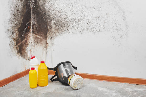 Certified Mold Removal in Mission, OR