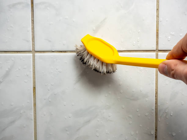 Best Mold Damage Repair  in Mission, OR