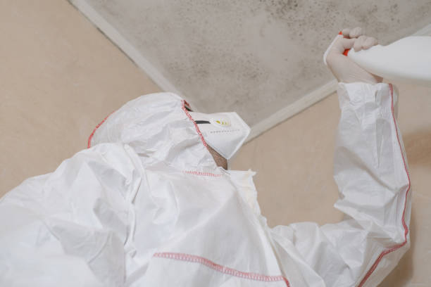 Best Mold Remediation  in Mission, OR